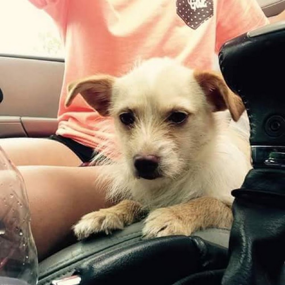 Meet your Posher, Angel